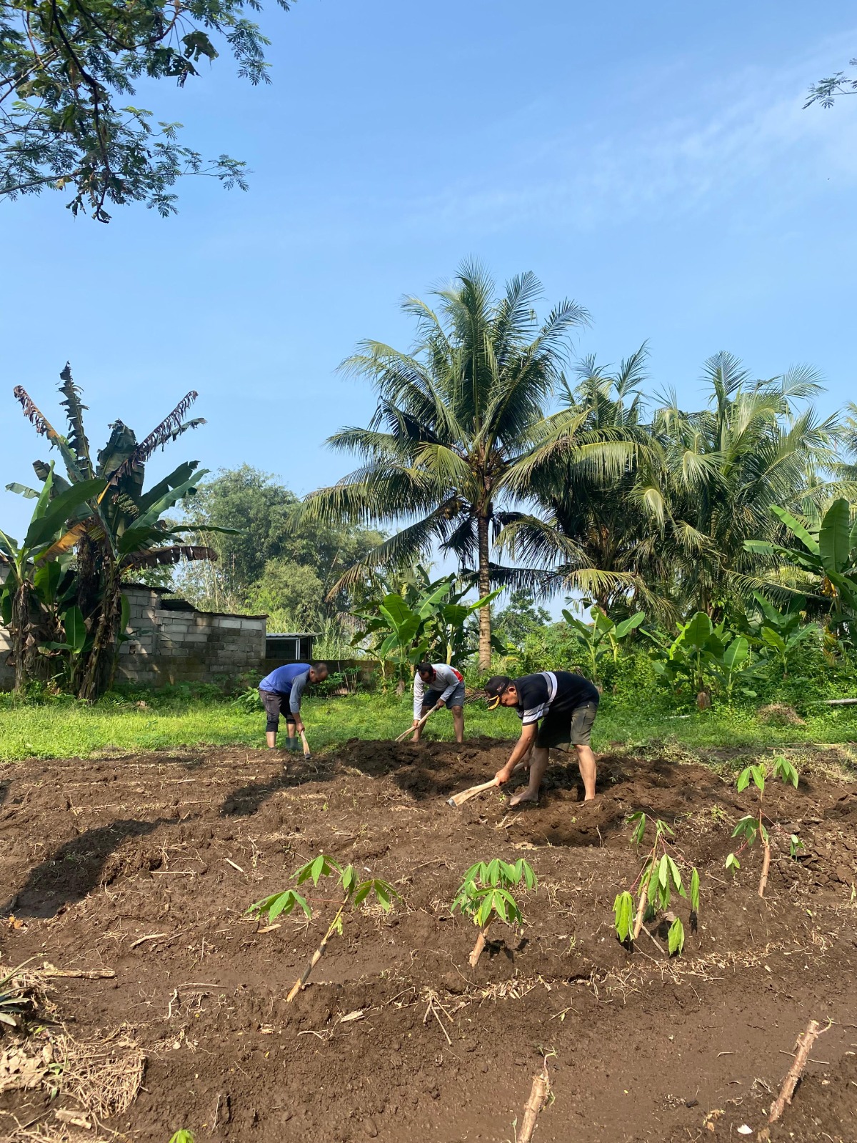 “Terungkap! Ini Realita Pahit di Balik Anak Petani yang Tak Lagi Mau Bertani”